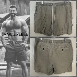 James Perse Drawstring Shorts 34-38" waist no size tag 5.5" inseam Gently worn